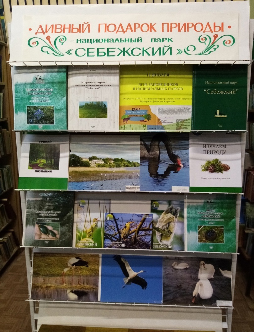 Выставка в Себеже