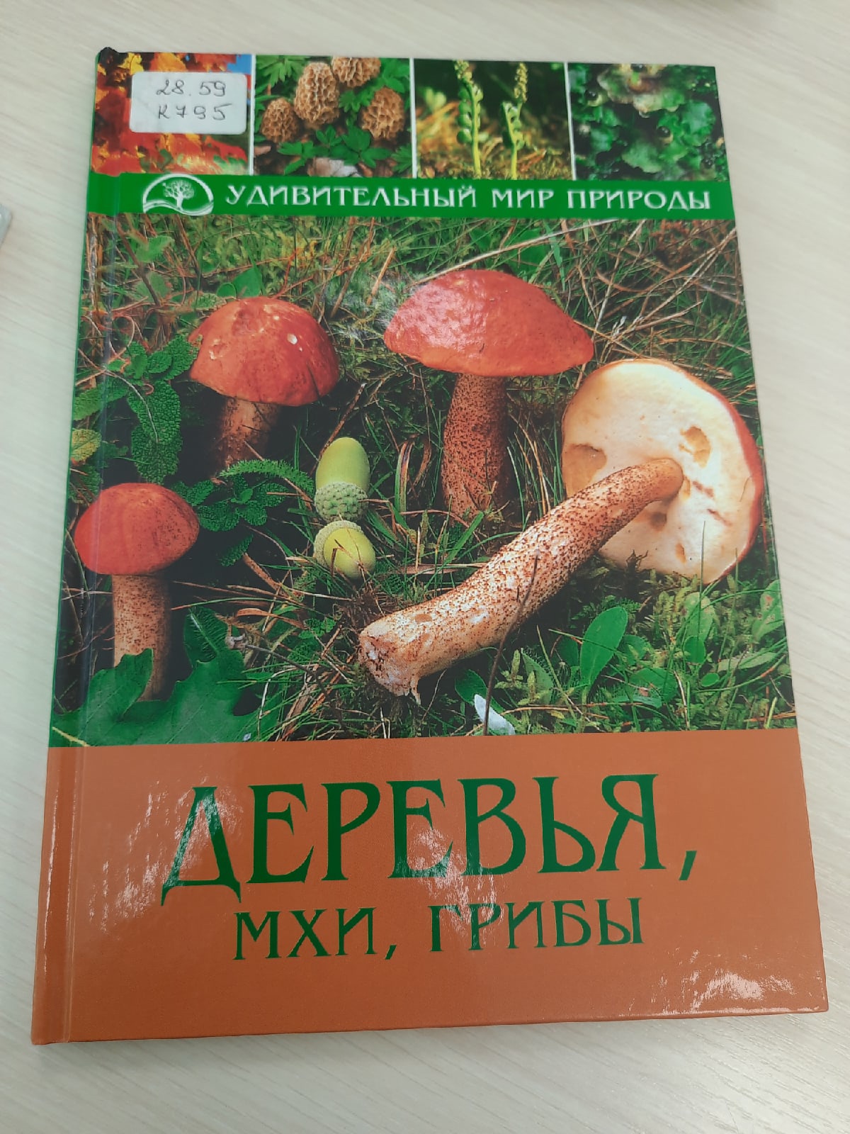 Книга Деревья мхи грибы