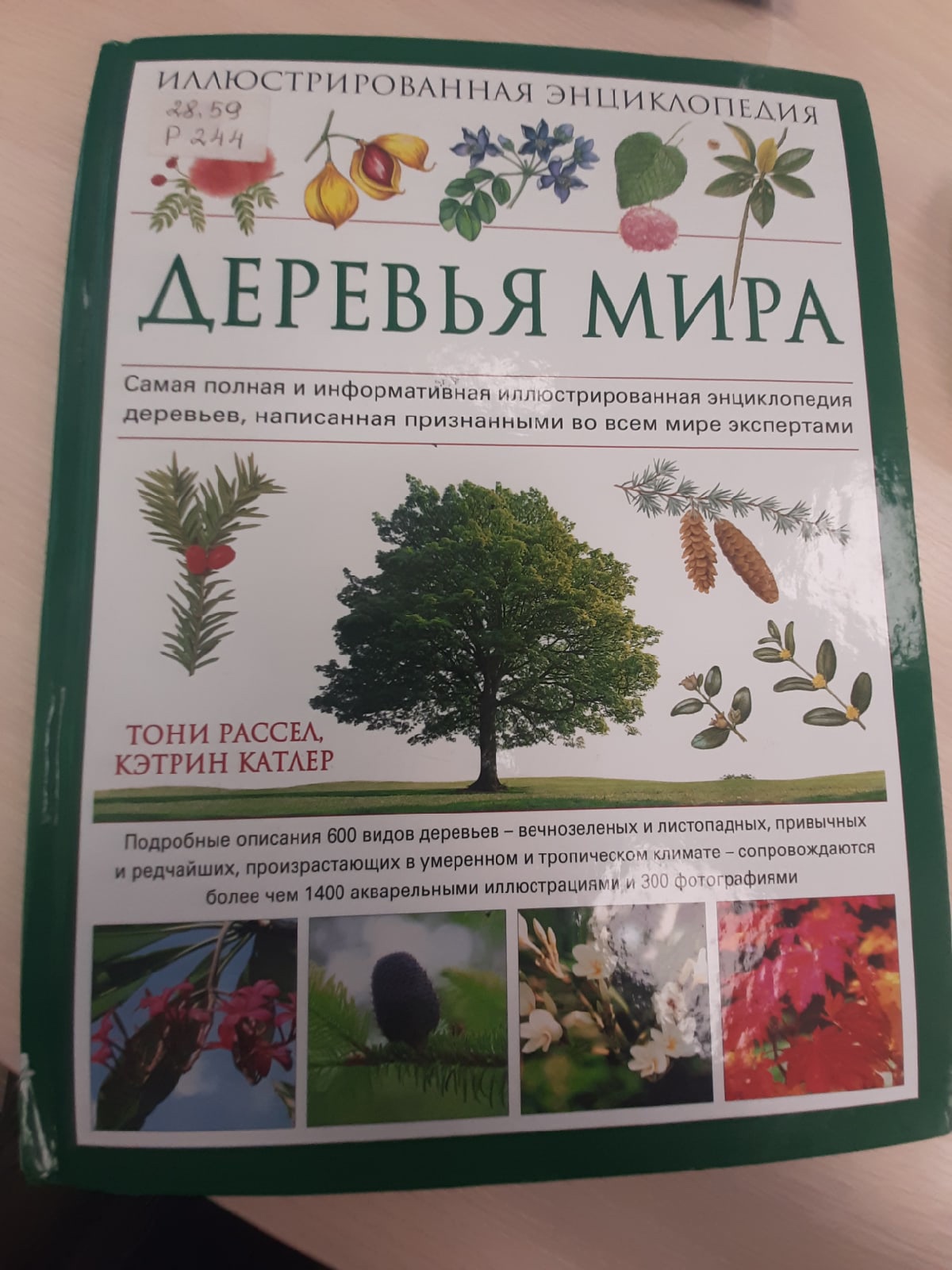 Книга деревья мира