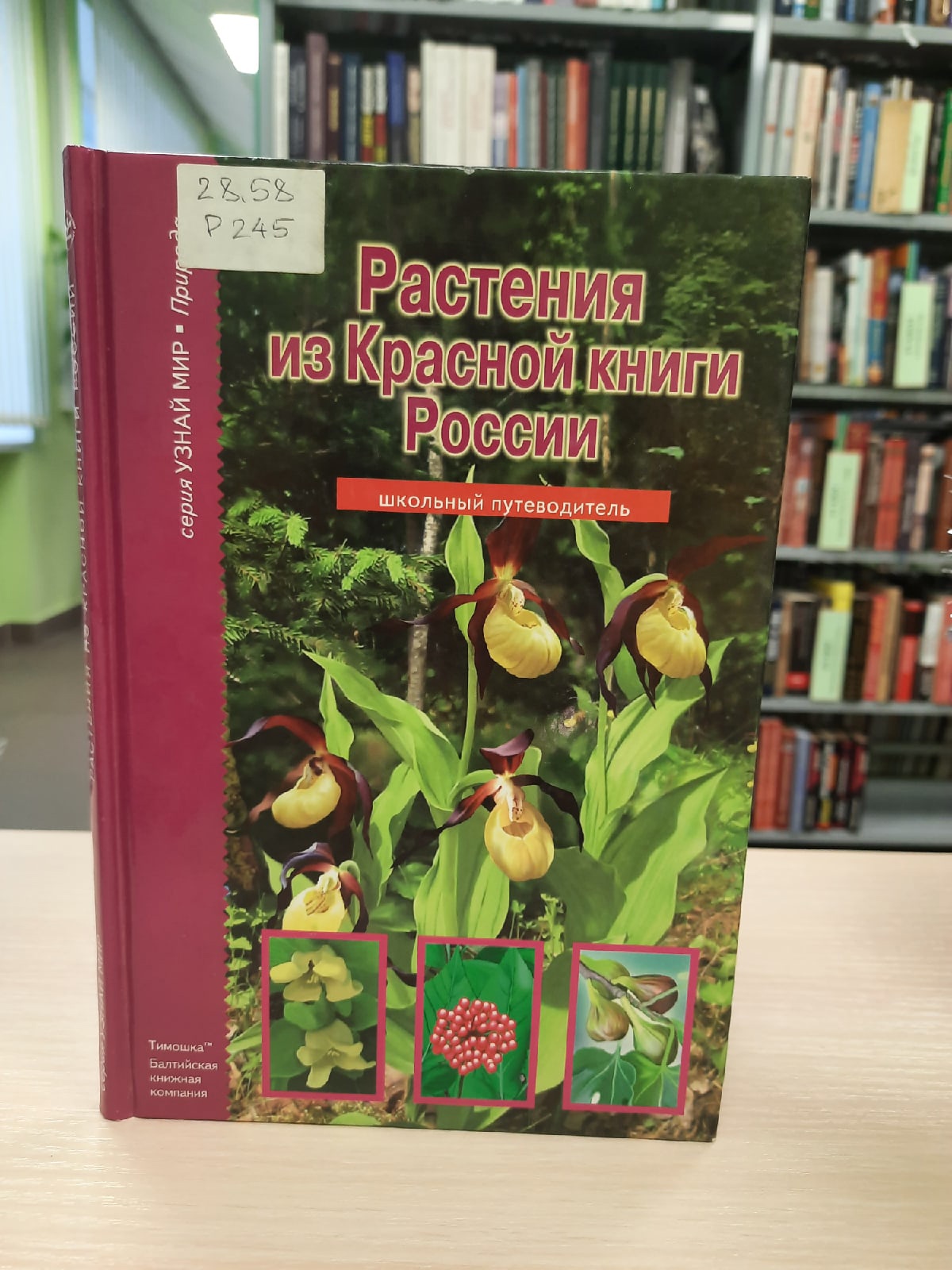 Книга растения из Красной книги России