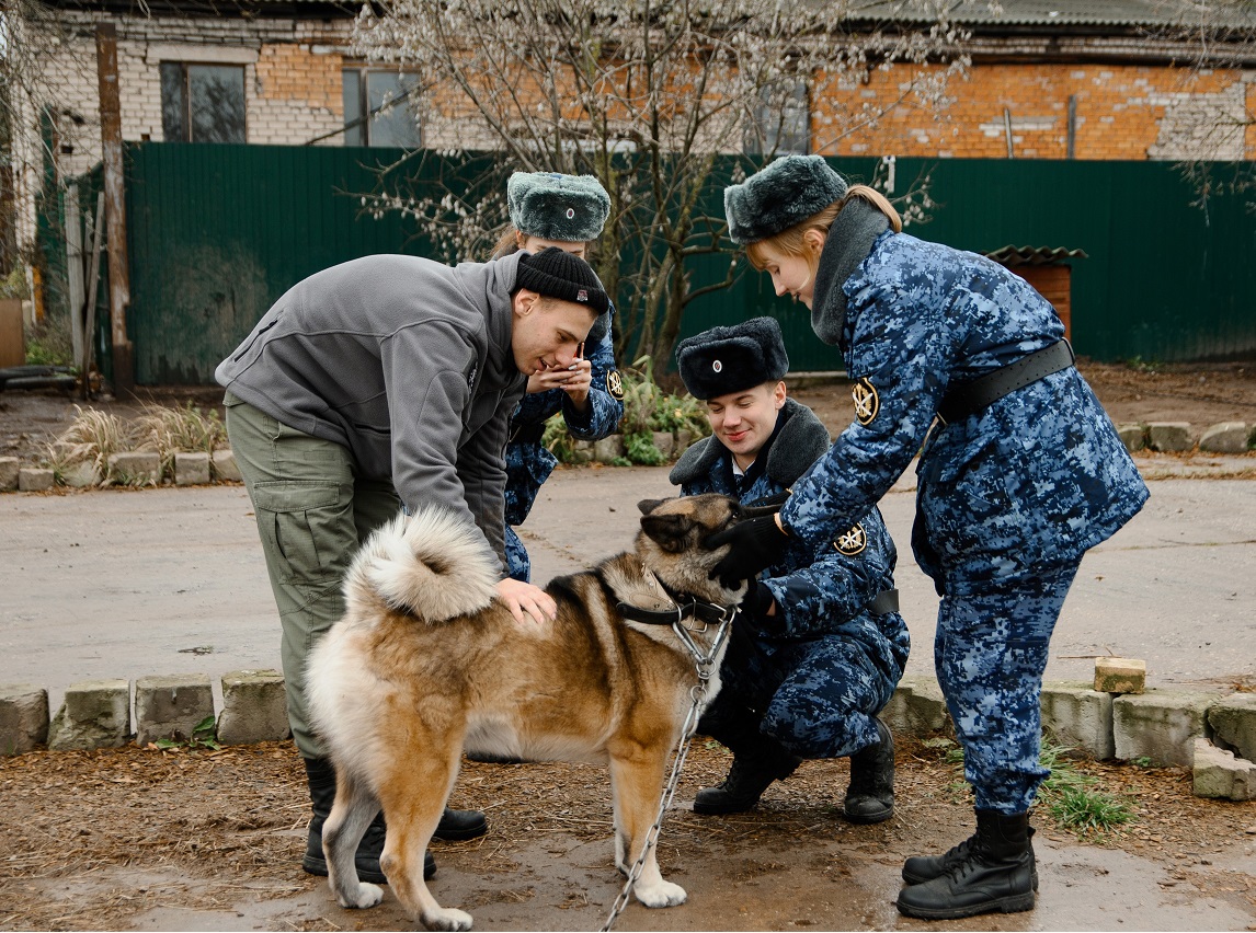 Курсанты и собака