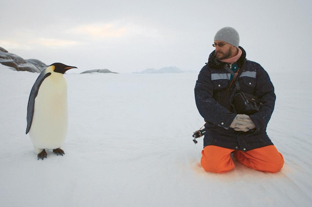 Пингвин и человек