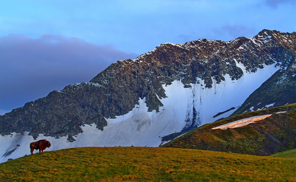 кавказский заповедник